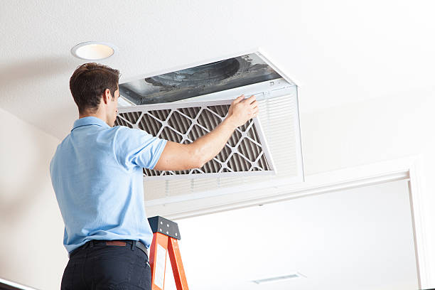 Best Air Filters and Purifiers in Carpentersvle, IL